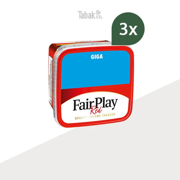 4xfairpalay_giga_box__mit wahlbaren zubehr-2 4xfairpalay_giga_box__mit wahlbaren zubehr-2