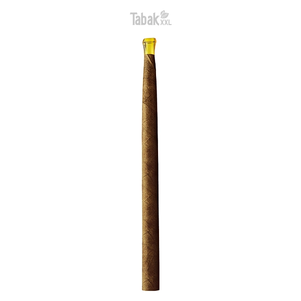 villiger-kiel-zigarren-brasil-dose-einzel