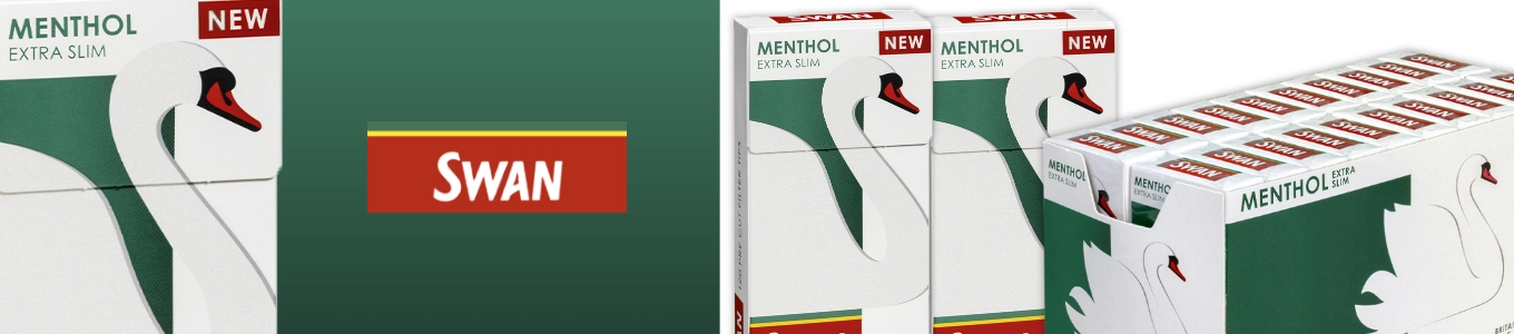 swan menthol