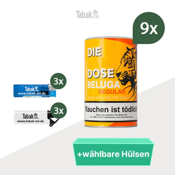 9xbeluga-mit-fz 9xbeluga-mit-fz