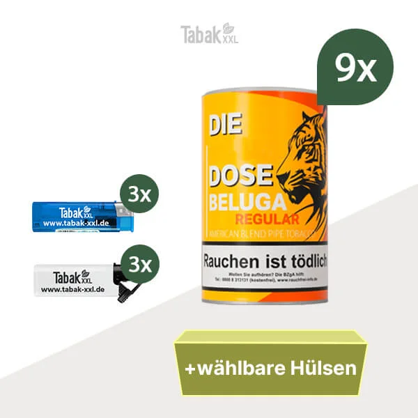 9xbeluga-mit-fz Kopie