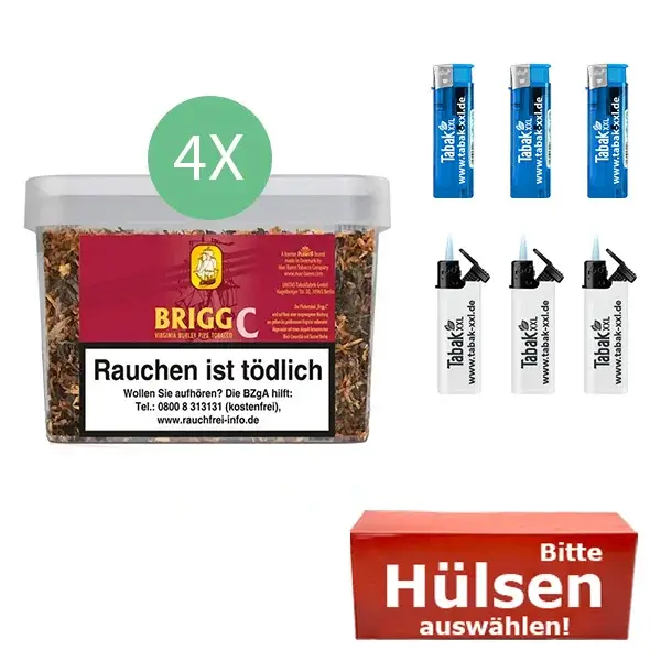 4_x_brigg_c_mit_hulsen_fz 4_x_brigg_c_mit_hulsen_fz