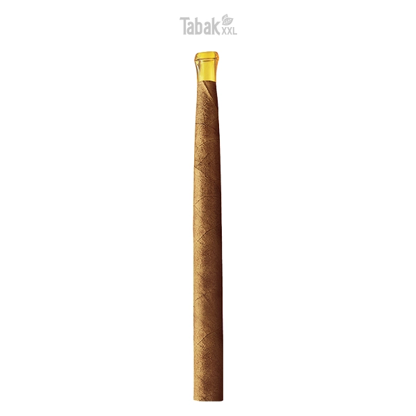 villiger-kiel-junior-zigarren-sumatra-dose-einzel villiger-kiel-junior-zigarren-sumatra-dose-einzel