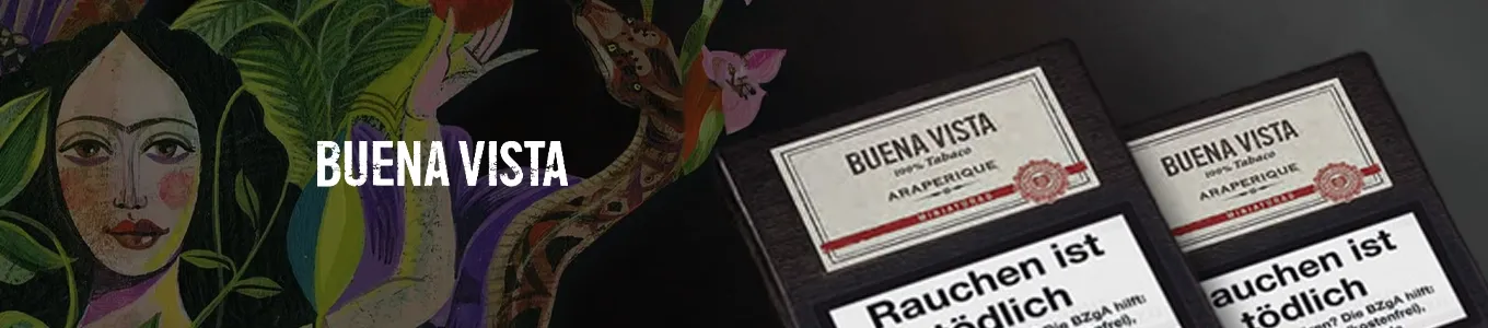 buena vista zigarillos buena vista zigarillos